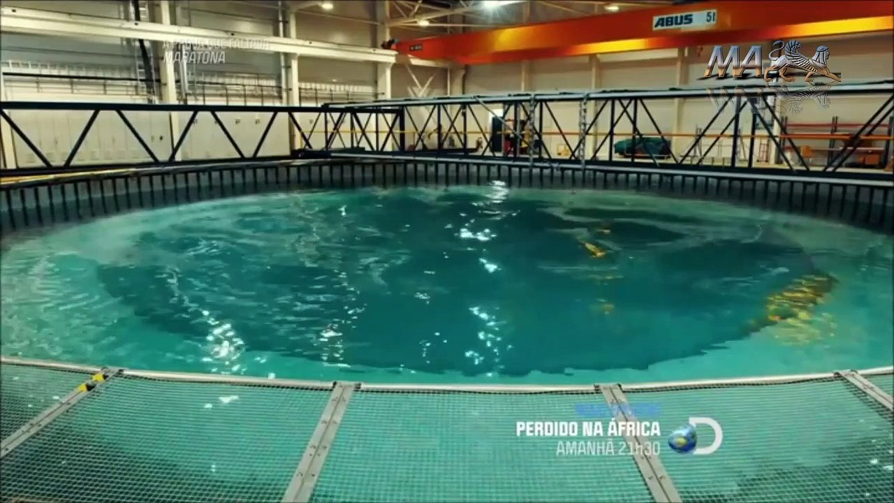 A Prova que Faltava - O Monstro do Lago Ness