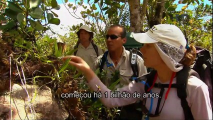 Monte Roraima o mundo Perdido 2