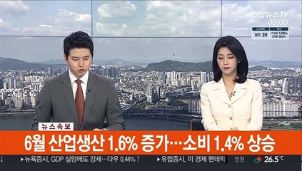 [속보] 6월 산업생산 1.6% 증가…소비 1.4% 상승