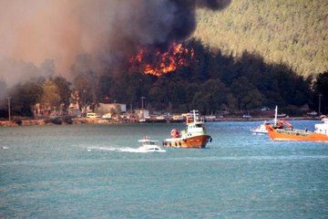 Yangında 80 hektar orman kül oldu