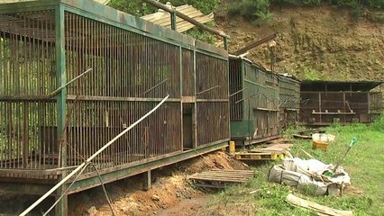 곰 탈출 허위 신고한 농장주 입건..."불법도축 숨기려" / YTN