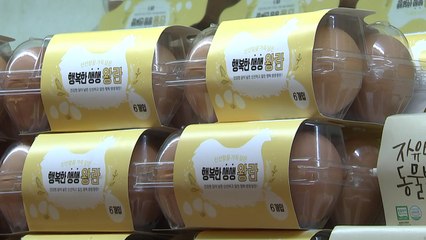 [이슈인사이드] 라면값도 달걀값도 줄줄이 올라...밥상 물가 인상 현실화 / YTN