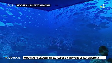 La nature en immersion : L'écomusée Fare Natura ouvre au public le 31 juillet