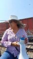 Llegan en #Tren la #Caravana #Migrante de #Honduras a #Guaymas #sonora #Mexico para cruzar la frontera norte y llegar a #USA les dan comida agua ropa ayuda y el sueño americano