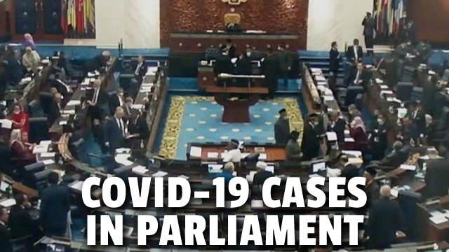 DG: Parliament mass screening finds 9 new Covid-19 cases