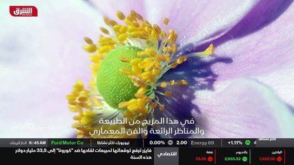 العمر المديد