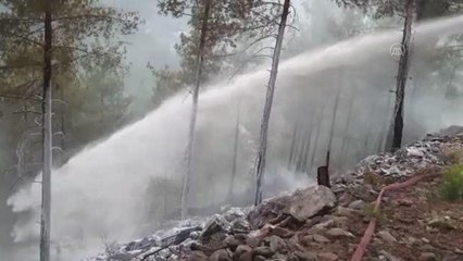 Feke'de çıkan orman yangınına müdahale ediliyor