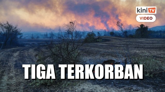 Tiga terkorban dalam kebakaran hutan di selatan Turki
