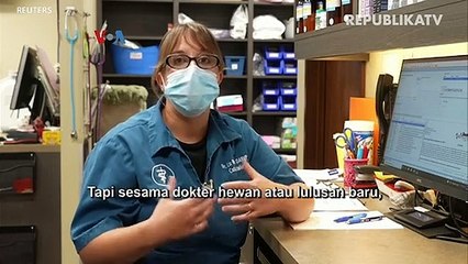 Aplikasi Pemantau Kesehatan Kucing saat di Rumah Saja