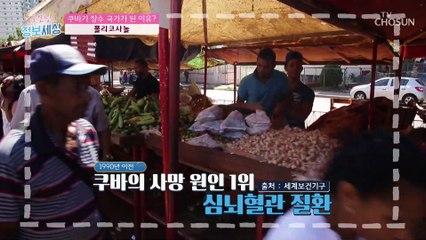 콜레스테롤 수치 + 질까지 높이는 사탕수수 껍질의 ❛폴리코사놀❜ TV CHOSUN 210730 방송