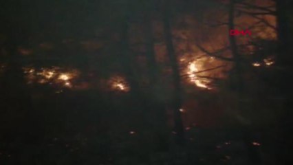 Son dakika haberi... Soma'da orman yangını