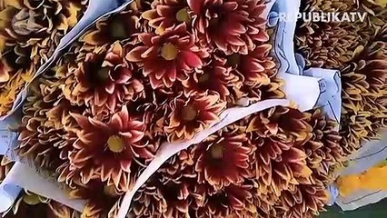 Karangan Bunga Duka Cita Alami Kenaikan