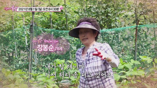 사랑밖에 난 몰라~_엄마의 봄날 307회 예고 TV CHOSUN 210801 방송