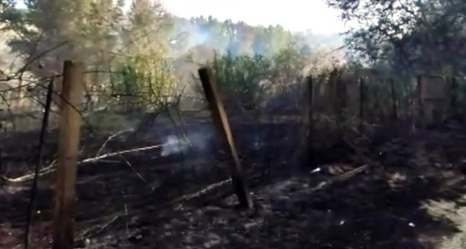 Incendi di vegetazione, 240 interventi dei Vigili del Fuoco in sole 24 ore (30.07.21)