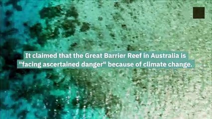 Australia Rejected the UN Climate Warning About the Great Barrier Reef