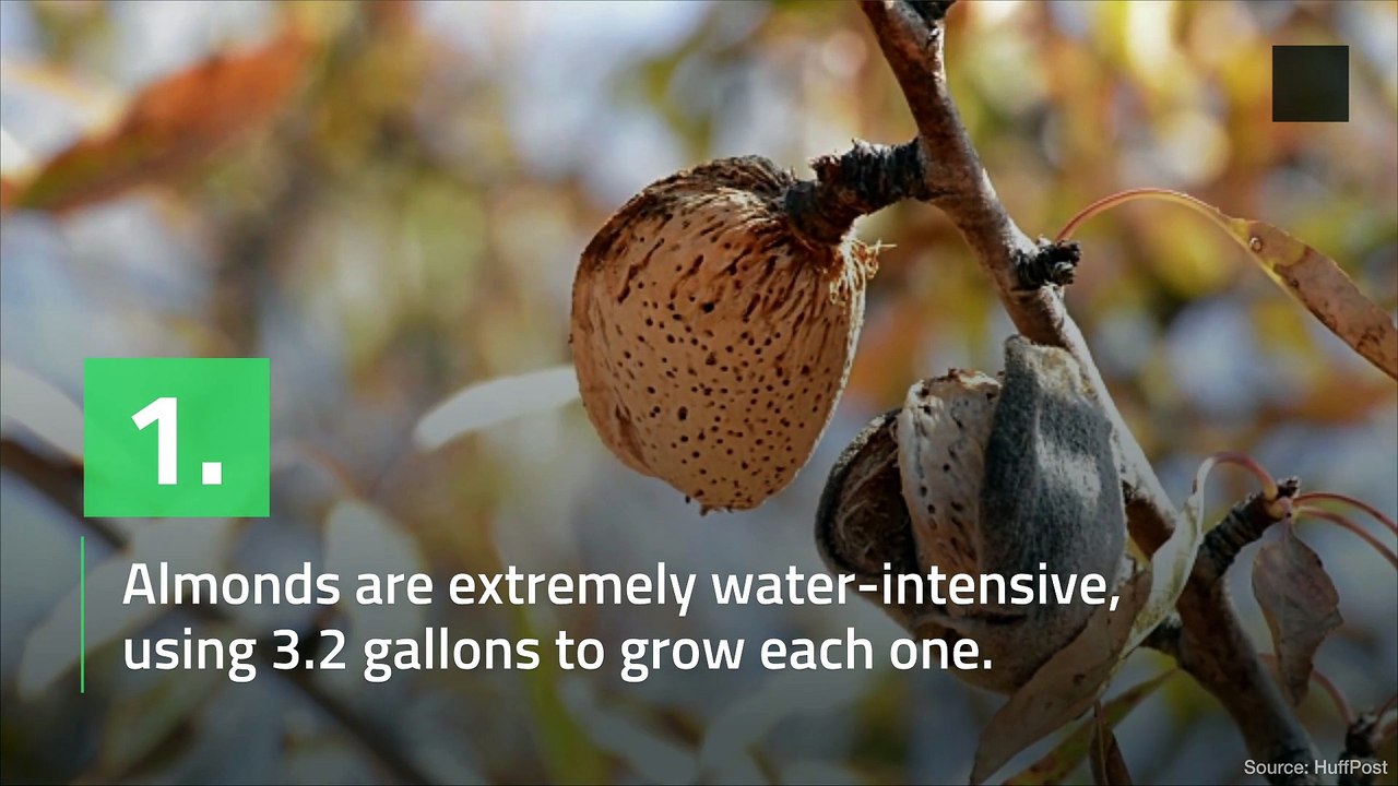 Foods That are Making Droughts Worse