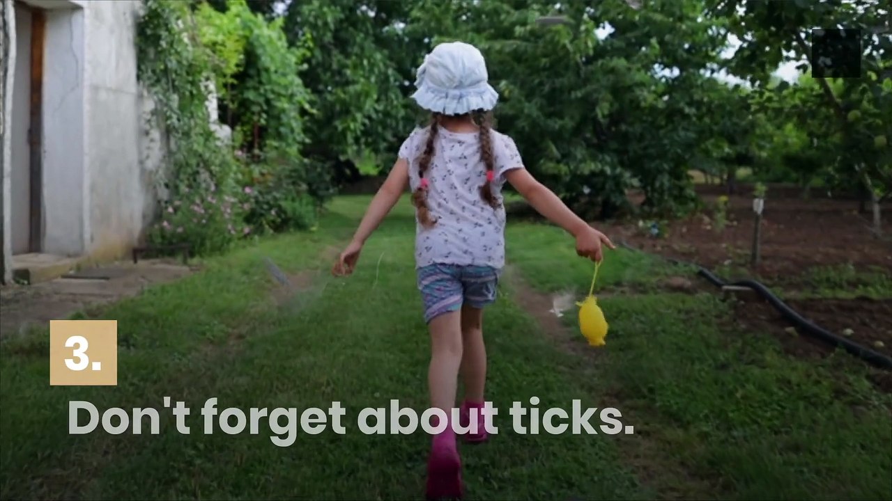 Have a Great Summer With These Tips