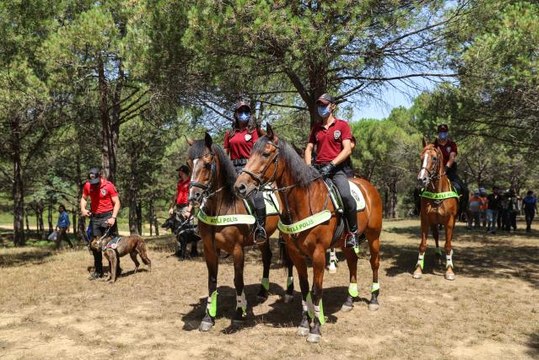 Son dakika haberleri... Sultangazi'de orman yangınlarına karşı denetim yapıldı