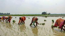 16 lakh 80 crore loan outstanding on farmers: Govt