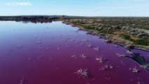 شاهد: التلوث يكسو بحيرة بلون الدماء في الأرجنتين
