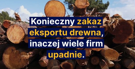 Konieczny zakaz  eksportu drewna, inaczej wiele firm upadnie