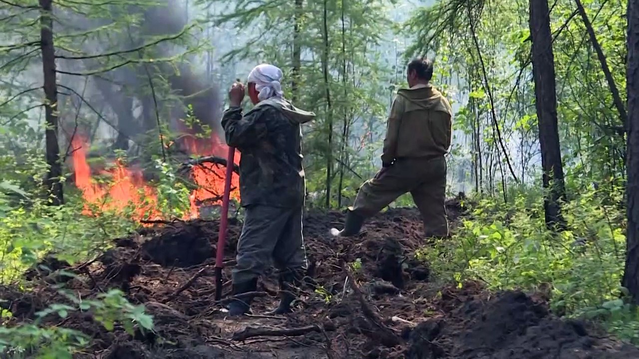 En Sibérie, des bénévoles au front des feux de forêt