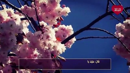 فتنة الدهيماء والشام الطريق إلى دمشق وما الذي سيحدث فيها؟_360P