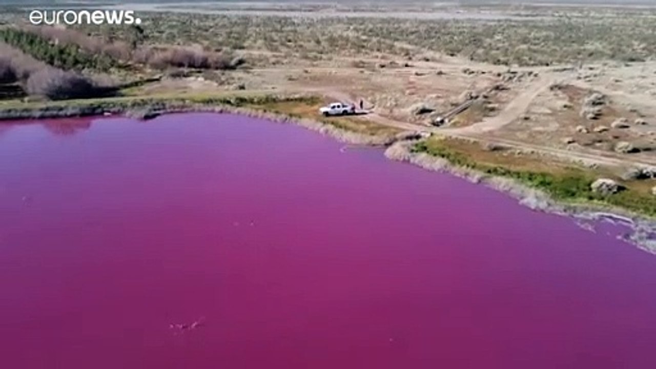 Fauliger Gestank und pinke Verfärbung - Umweltschützer besorgt über Lagune in Argentinien