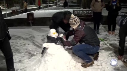 브라질 남부 희귀 폭설...30개 이상 도시 영하 속 눈 내려 / YTN
