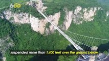 Must See! Daredevils Bungee Jump Off the World’s Tallest Glass-Bottomed Footbridge