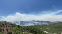 Manavgat ve Akseki'deki orman yangınlarına havadan ve karadan müdahale ediliyor