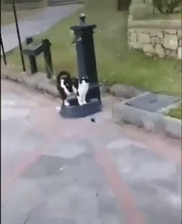 asked him to drink water