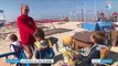 Pas-de-Calais : les enfants au paradis sur la plage du Touquet