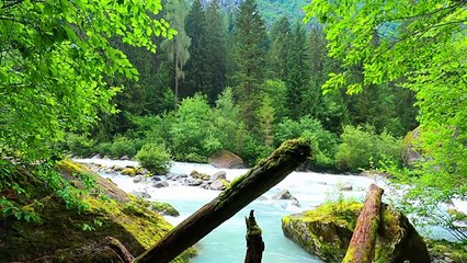 Relaxing Nature Sounds, Sleep Natural Calming Water Sound.