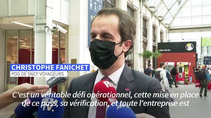 SNCF: le pass sanitaire pourra être vérifié "partout et à tout moment"