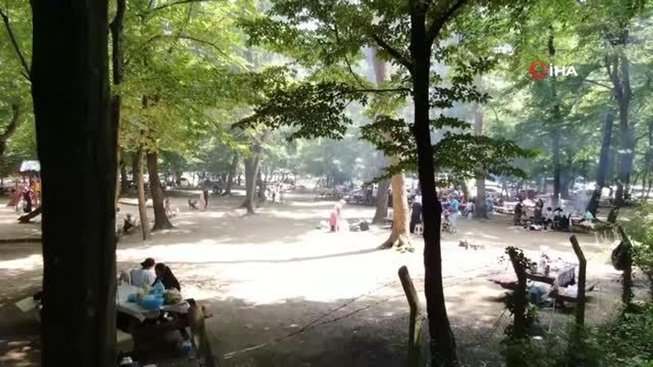 İstanbul Valiliği: "30 Temmuz31 Ağustos tarihleri arasında, ormanlara girmek, orman çevresinde ve içinde mola vermek ve orman alanlarında piknik...