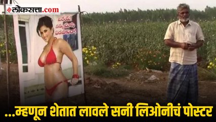 आंध्र प्रदेशातील शेतकऱ्याने शेतात लावलेलं सनी लिओनीचं पोस्टर होतंय व्हायरल