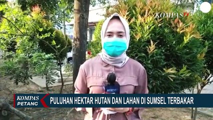 Kebakaran Hutan Akibat Erupsi Gunung Ile Lewotolok Meluas