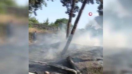Bakırköy'de ağaçlık alanda korkutan yangın
