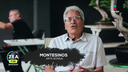 El señor Felipe asegura que la naturaleza nos enseña cómo convivir