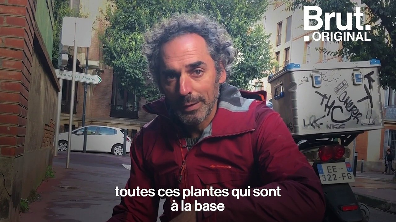 Toulouse : ce botaniste trace à la craie le nom des plantes sauvages