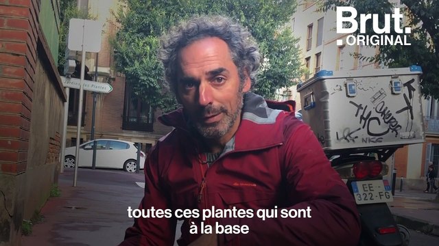 Toulouse : ce botaniste trace à la craie le nom des plantes sauvages