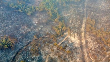 Son dakika haberleri... Orman yangınına müdahale ediliyor (3)