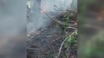 KASTAMONU - Seydiler ilçesinde çıkan orman yangını kontrol altına alındı