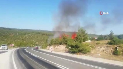 Bilecik'te ormanlık alanda yangın: 1 gözaltı