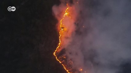 Лесные пожары в Якутии: что привело к катастрофе? (30.07.2021)