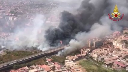 Incendi, brucia la Sicilia: roghi alimentati dal forte caldo