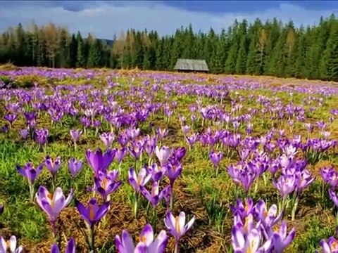 PAIS POLONIA,VIAJANDO POR EL MUNDO,ADMIRA VARSOVIA,OBSERVA POLACOS CONOCE POLACAS,LAS MEJORES IMAGENES DE ESTE BELLO PAIS,RED MARABUNTA,SEXY POLAND, TIERRA FRONTERIZA ANCESTRAL,MEDIEVAL