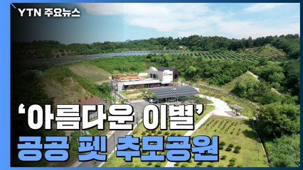 반려동물과 아름다운 이별...국내 첫 공공 펫 추모공원 / YTN