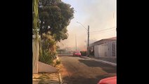 VÍDEO: Incêndio atinge área de mata perto de casas em Sobradinho